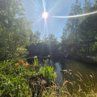 Propriété Beaumetz Les Aire