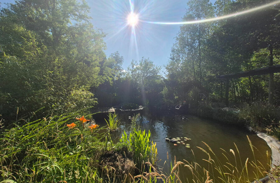 Propriété Beaumetz Les Aire