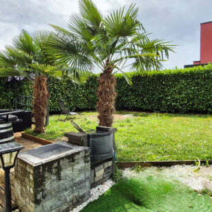 Maison plain pied à Steenwerck