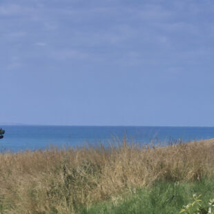 Maison Cap Gris nez