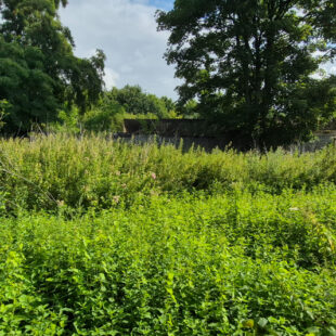 Immeuble de 184 m² sur Condé-sur-Escaut  Sous offre 