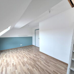 Croix centre, large maison 110 m², 3 chambres, dressing, jardin
