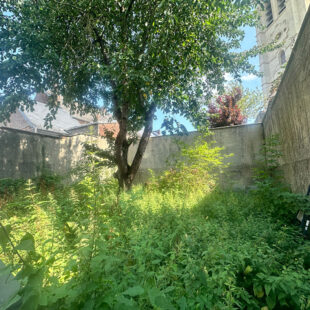 Immeuble Le Cateau Cambresis 10 pièce(s) 227 m2