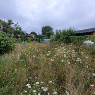 Maison semi individuelle Raismes 4 pièce(s) 100 m2