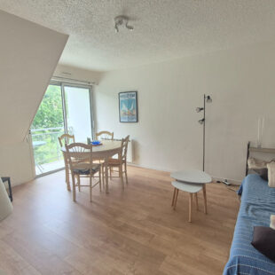 Appartement Neufchatel Hardelot 2 pièce(s) 36 m2