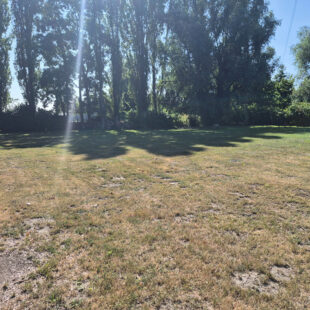 Campagne de Rieulay.