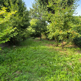 Maison Crespin 4 pièce(s) 69 m2