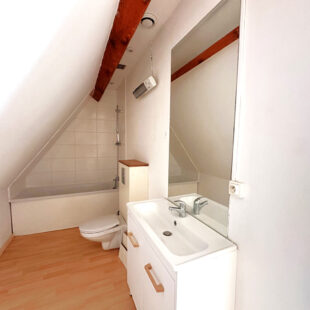 Maison 2 chambres sans travaux + jardin