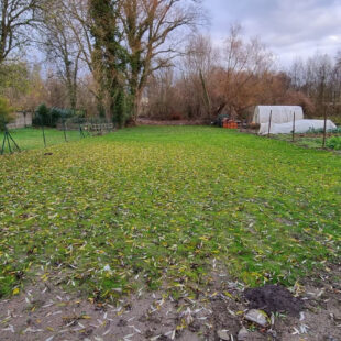 MAISON SEMI-INDIVIDUELLE A RENOVER