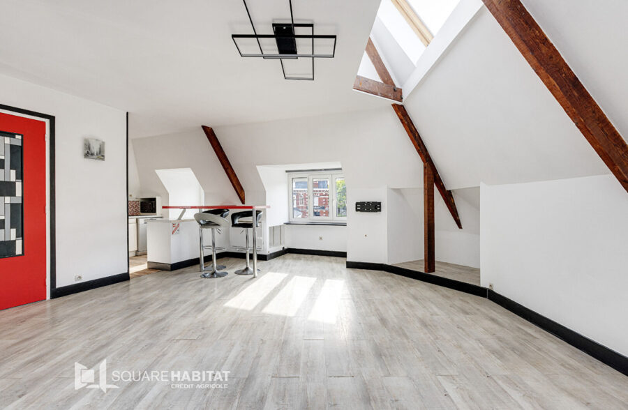 Appartement Villeneuve D Ascq 3 pièce(s)