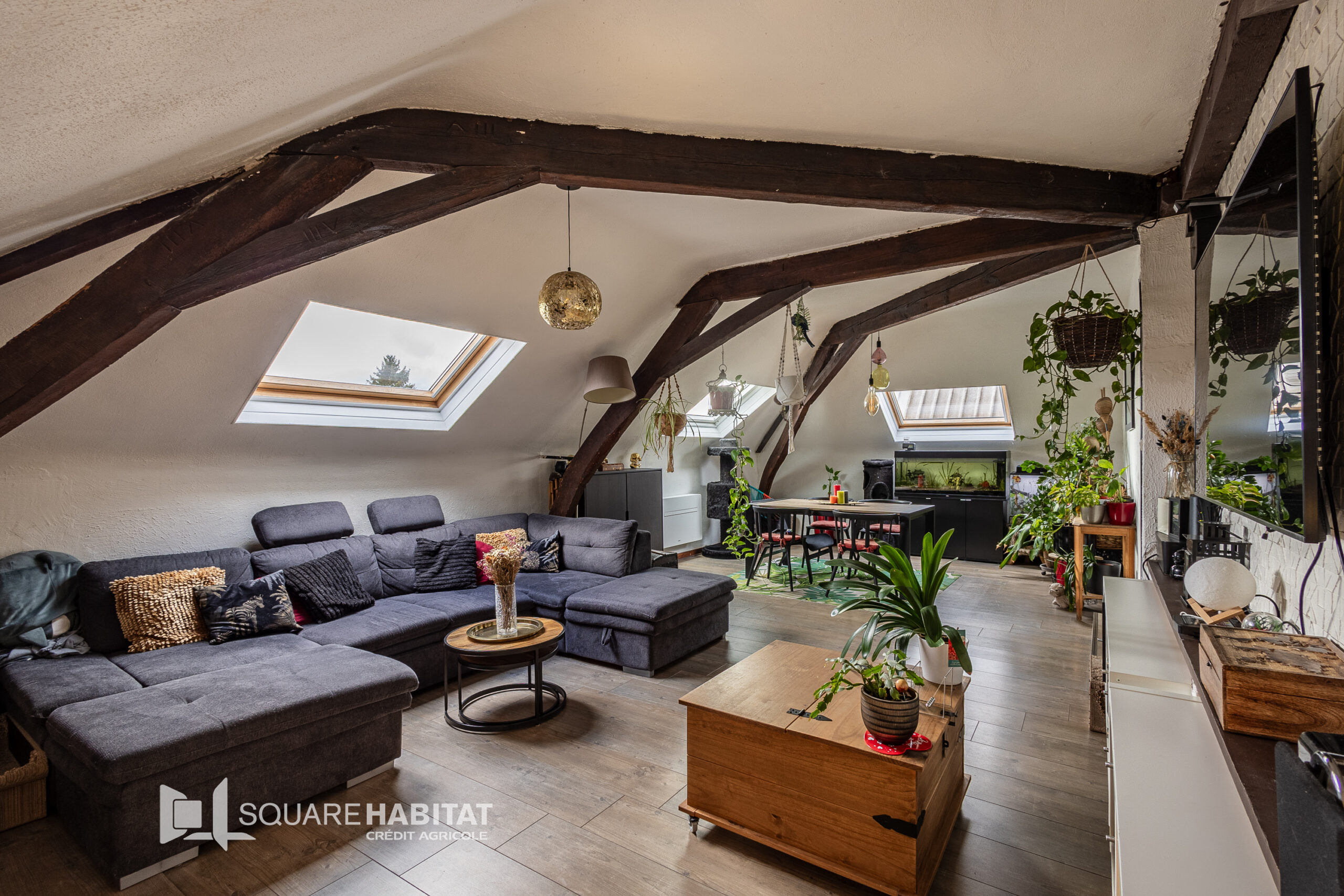 EXCLUSIVITÉ SQUARE HABITAT : GRAND TYPE 2 – RONCHIN