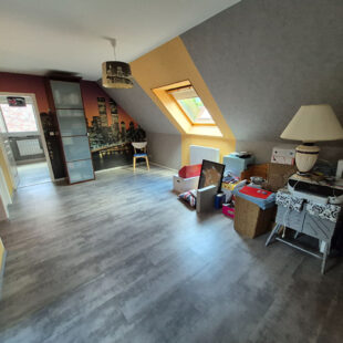 INDIVIDUELLE de SEMI PLAIN PIED, 4 chambres, jardin, garage, parking INDIVIDUELLE de SEMI PLAIN PIED, 4 chambres, jardin, garage, parking