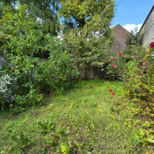 MAISON 3 CHAMBRES JARDIN EN HYPER CENTRE