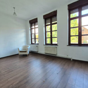 MAISON 3 CHAMBRES JARDIN EN HYPER CENTRE