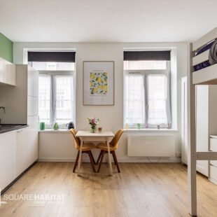 LIILLE Stations – Meurein: Studio + un emplacement de parking LIILLE Stations – Meurein: Studio + un emplacement de parking