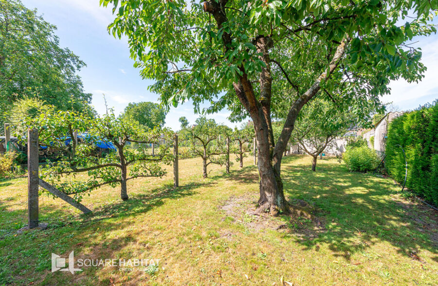 Semi plain pied individuel