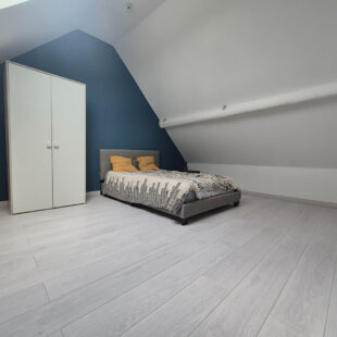 Charmante maison de ville avec grand jardin Charmante maison de ville avec grand jardin