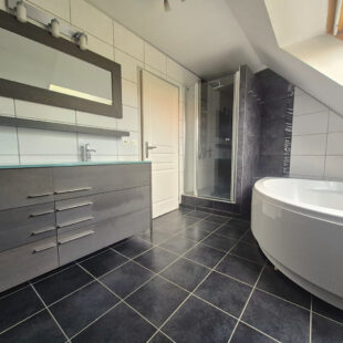 Maison Faches-thumesnil 5 pièce(s) 149 m2