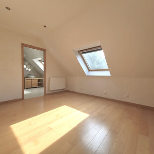 Maison Faches-thumesnil 5 pièce(s) 149 m2