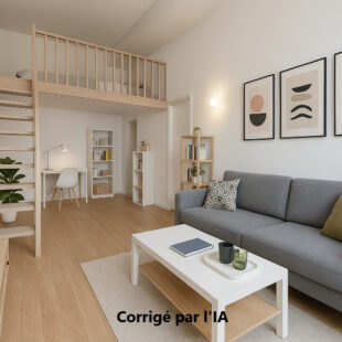 APPARTEMENT DE TYPE 2 AVEC DOUBLE MEZZANINE, A PROXIMITE DE LA GARE ET DE LA GRAND PLACE