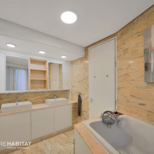 APPARTEMENT HAUSSMANNIEN EN CENTRE VILLE