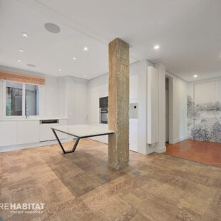 APPARTEMENT HAUSSMANNIEN EN CENTRE VILLE