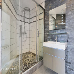 APPARTEMENT HAUSSMANNIEN EN CENTRE VILLE