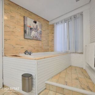 APPARTEMENT HAUSSMANNIEN EN CENTRE VILLE