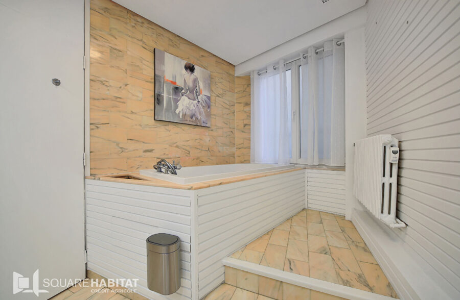 APPARTEMENT HAUSSMANNIEN EN CENTRE VILLE