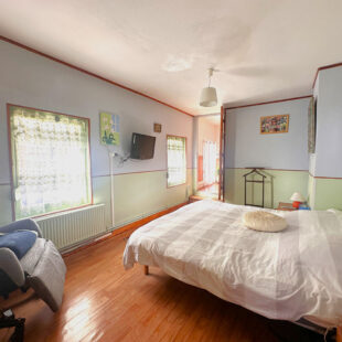 Immeuble avec commerce, habitation et jardin en coeur de ville.