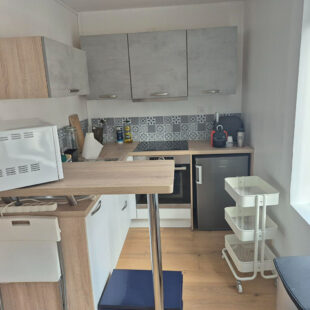 Appartement Haubourdin T1 (possible T2)