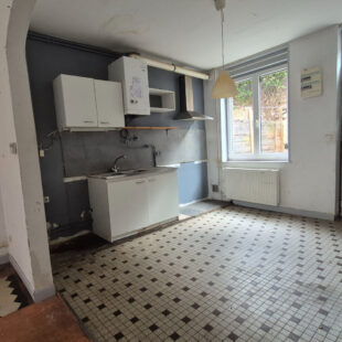 Maison Lille 85 m2  aux abords de la Deûle