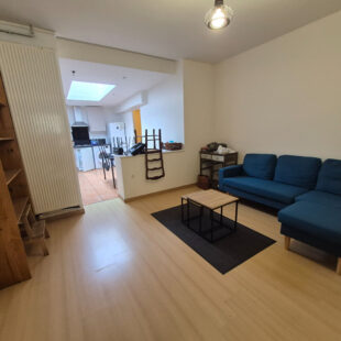 Appartement Lille 4 pièce(s) 80 m2 terrasse