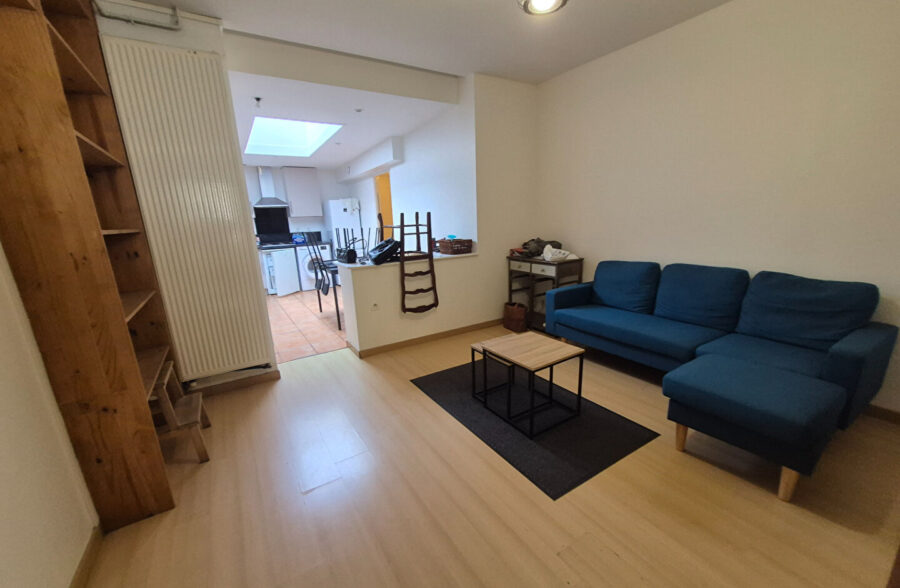 Appartement Lille 4 pièce(s) 80 m2 terrasse