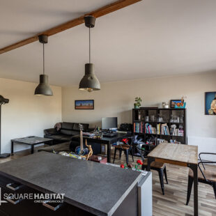 APPARTEMENT TYPE 3 AVEC EXTERIEUR ET PARKING – LILLE MOULINS