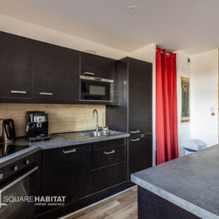 APPARTEMENT TYPE 3 AVEC EXTERIEUR ET PARKING – LILLE MOULINS