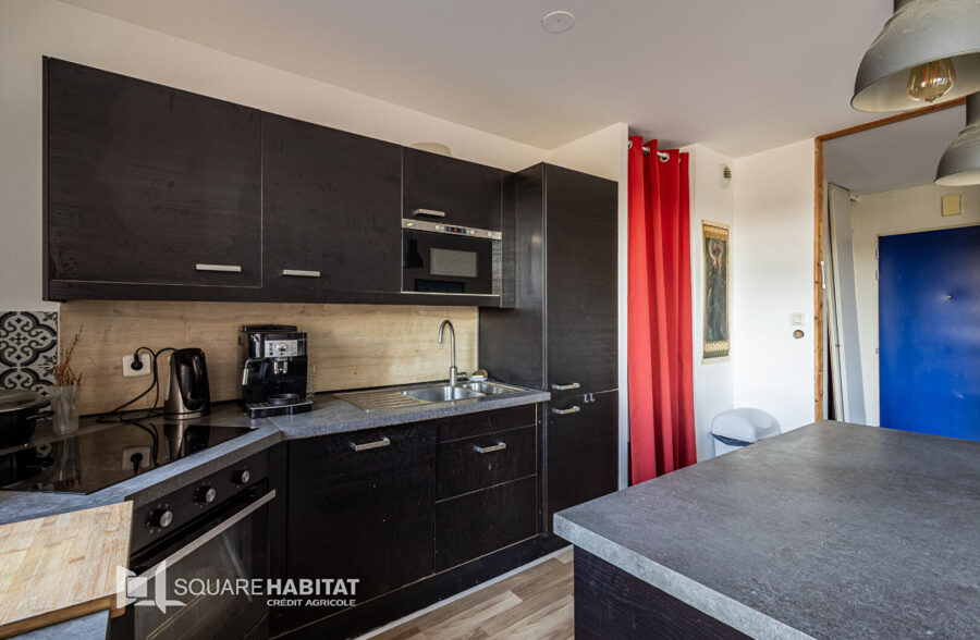 APPARTEMENT TYPE 3 AVEC EXTERIEUR ET PARKING – LILLE MOULINS