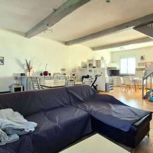 GRANDE MAISON DE FAMILLE 4 CHAMBRES JARDIN STATIONNEMENT ATELIER