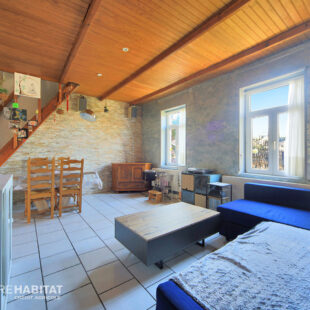 Maison en retrait de rue – 3 chambres + terrasse + jardins potagers