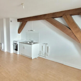 Investissement locatif  35 m²