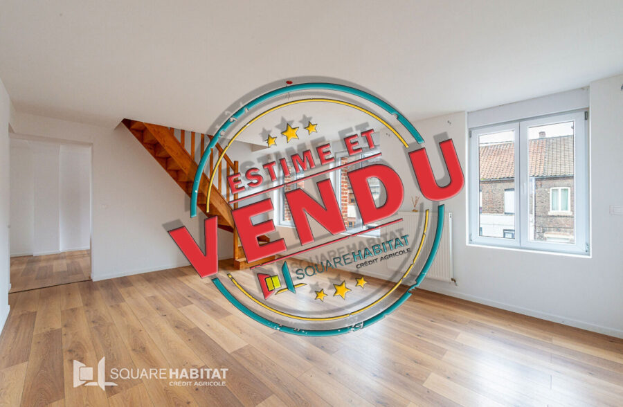 Appartement Saint Amand Les Eaux 5 pièce(s)