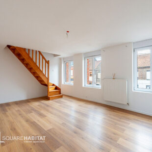 Appartement Saint Amand Les Eaux 5 pièce(s)