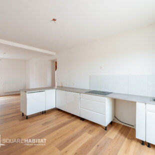 Appartement Saint Amand Les Eaux 5 pièce(s)