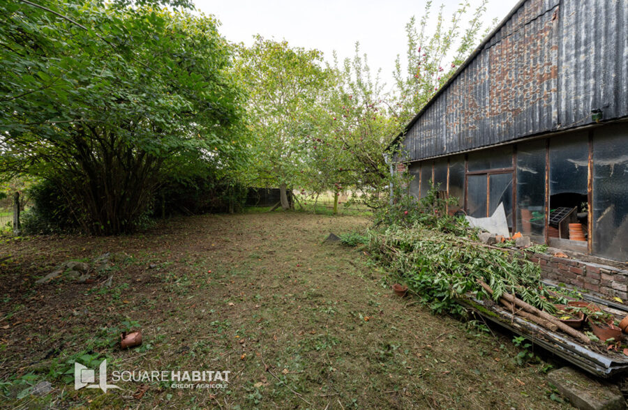 HANGAR  de 250m2  Mons En Pévèle