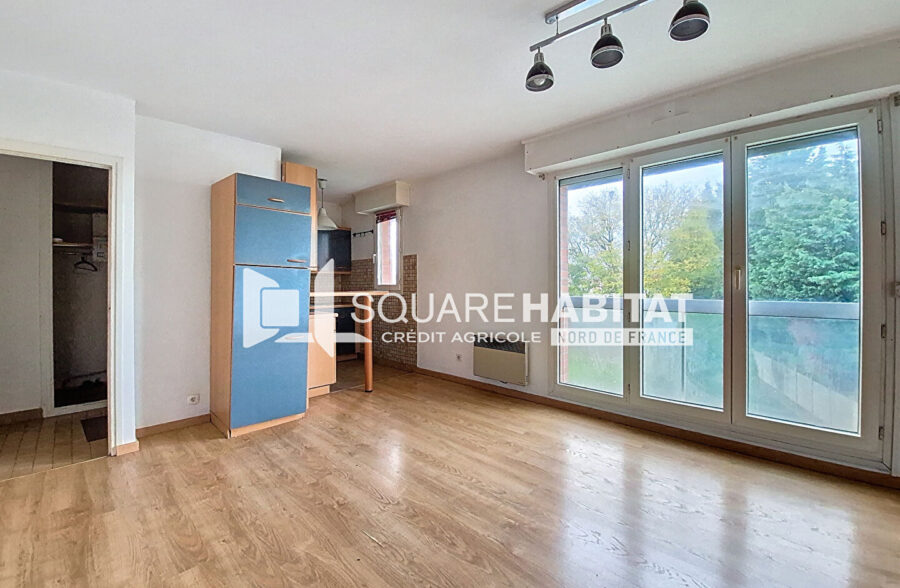 Appartement Duplex au coeur de Templemars