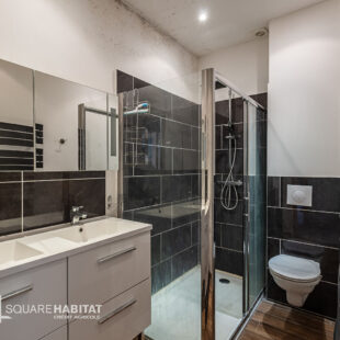 VIEUX LILLE MAISON DE 207 M2 AU SOL, RARE SUR SECTEUR