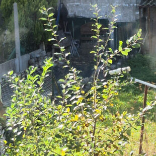 Maison Crespin 66 m2