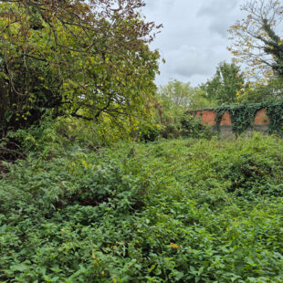 Maison  semi individuel  sur 500 m²