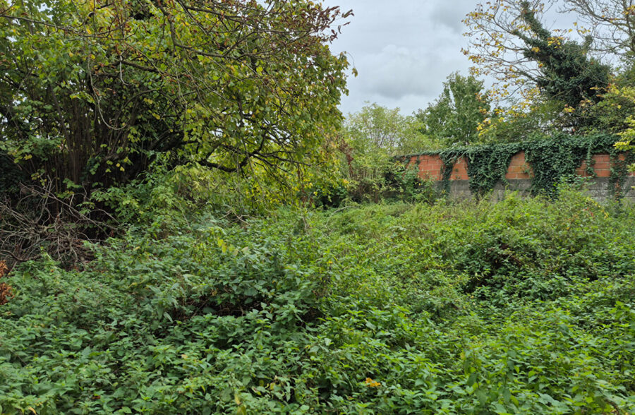 Maison  semi individuelle sur 500 m²