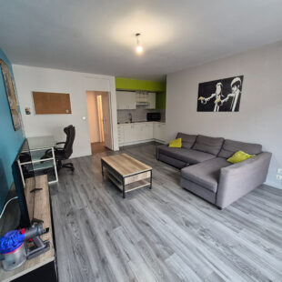 LILLE NATIONALE – MEUREIN T2 avec cave et parking